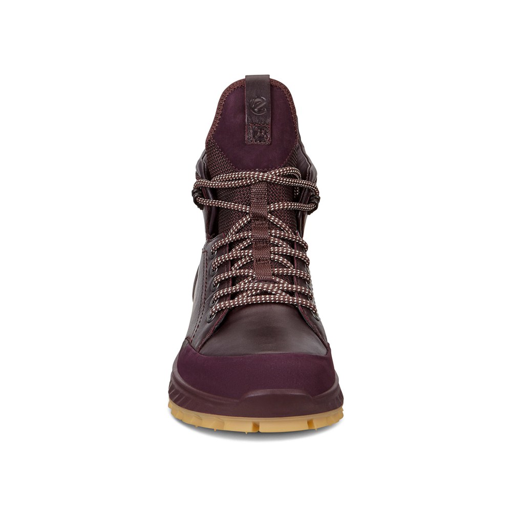 Botas Mujer - ECCO Exostrike Shinebright - Vino - FCI083195